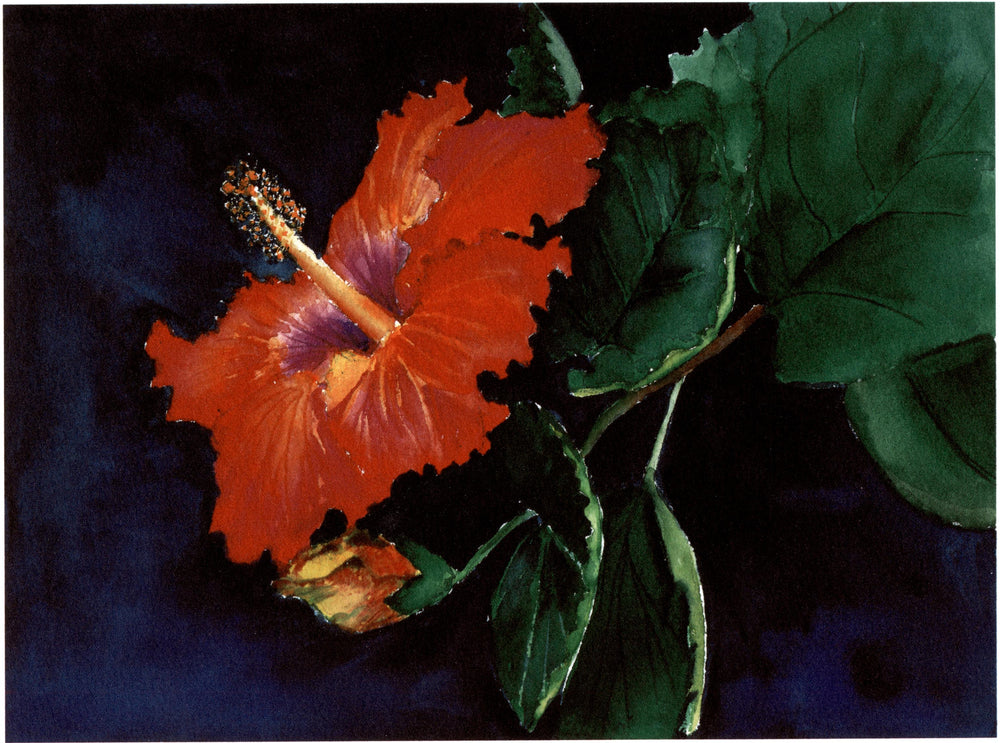 Hibiscus